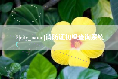 昌邑消防证初级查询系统
