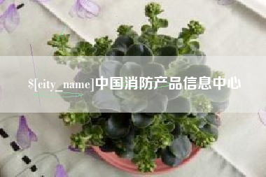 昌邑中国消防产品信息中心