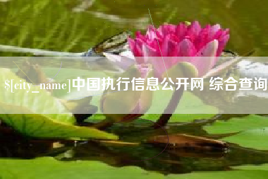 昌邑中国执行信息公开网 综合查询