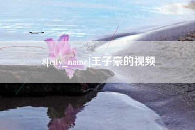 昌邑王子豪的视频