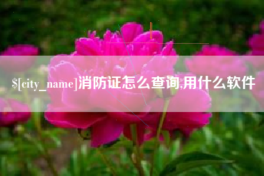 昌邑消防证怎么查询,用什么软件