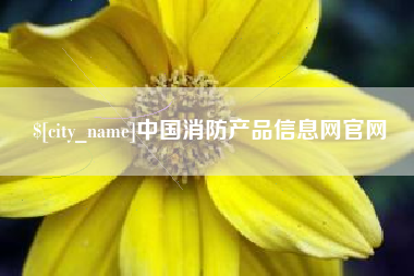 昌邑中国消防产品信息网官网