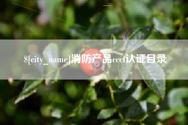 昌邑消防产品cccf认证目录