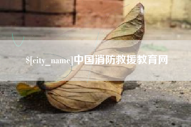 昌邑中国消防救援教育网
