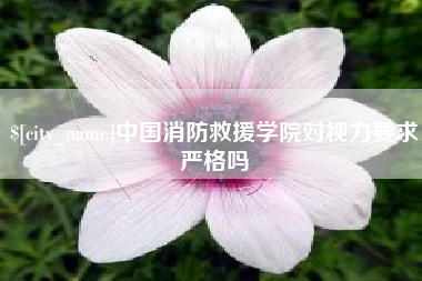 昌邑中国消防救援学院对视力要求严格吗