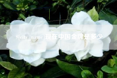 昌邑现在中国金牌是多少