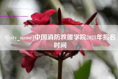 昌邑中国消防救援学院2021年报名时间