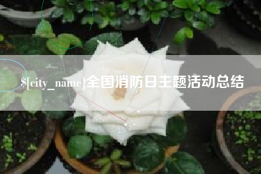 昌邑全国消防日主题活动总结