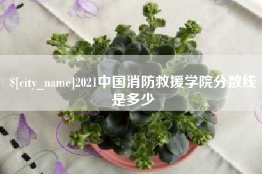 昌邑2021中国消防救援学院分数线是多少