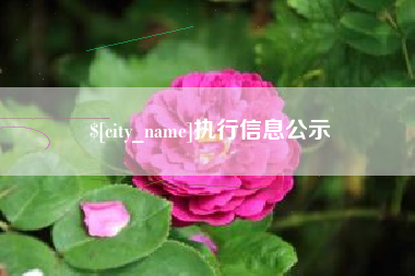 昌邑执行信息公示