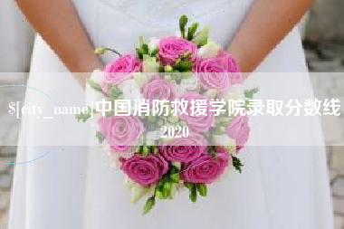 昌邑中国消防救援学院录取分数线2020