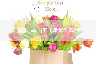 昌邑王子豪是怎么写