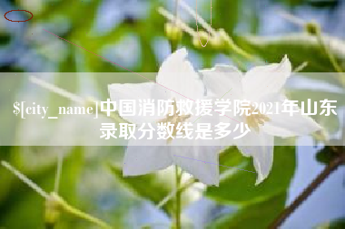 昌邑中国消防救援学院2021年山东录取分数线是多少