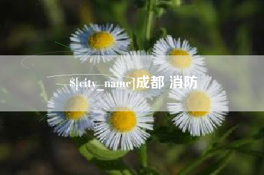 昌邑成都 消防