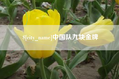 昌邑中国队九块金牌