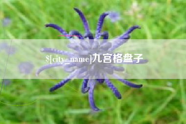 昌邑九宫格盘子