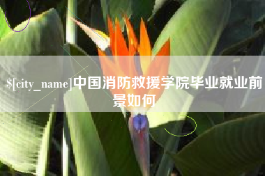 昌邑中国消防救援学院毕业就业前景如何