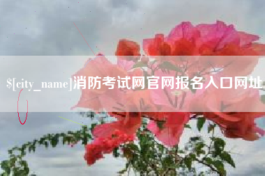 昌邑消防考试网官网报名入口网址