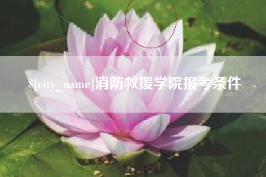 昌邑消防救援学院报考条件