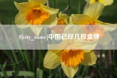 昌邑中国已经几枚金牌