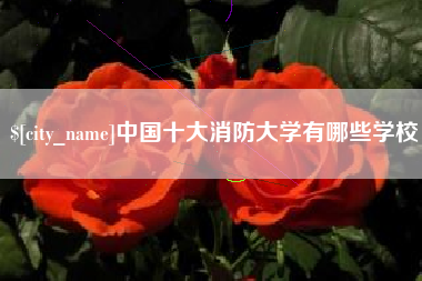 昌邑中国十大消防大学有哪些学校