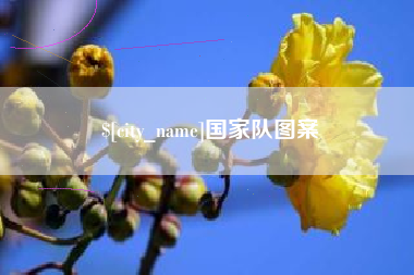 昌邑国家队图案