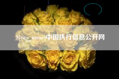 昌邑中国执行信息公开网