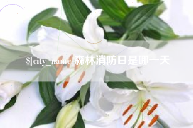 昌邑森林消防日是哪一天
