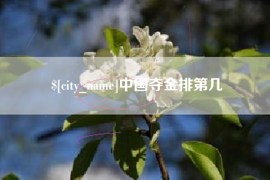 昌邑中国夺金排第几