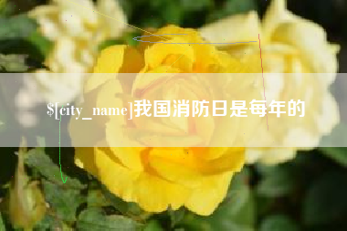 昌邑我国消防日是每年的