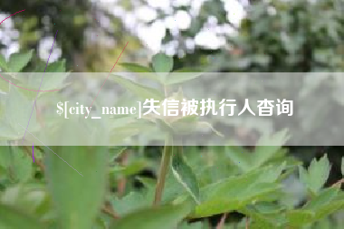 昌邑失信被执行人杳询