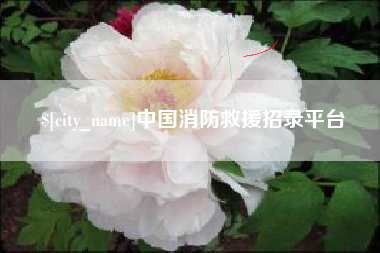 昌邑中国消防救援招录平台