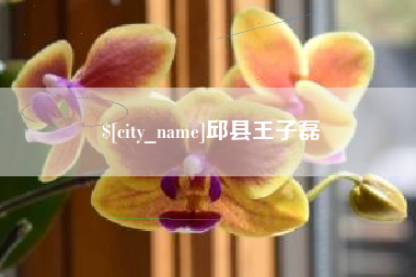 昌邑邱县王子磊