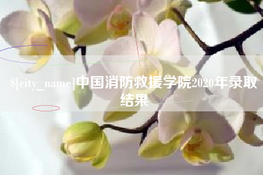 昌邑中国消防救援学院2020年录取结果