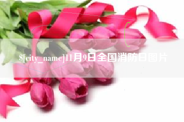 昌邑11月9日全国消防日图片