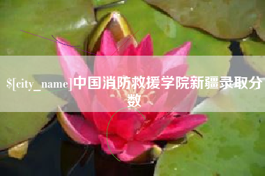 昌邑中国消防救援学院新疆录取分数