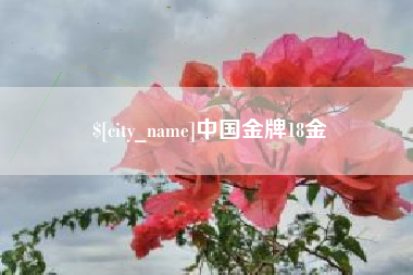 昌邑中国金牌18金