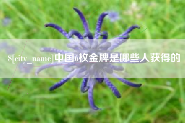 昌邑中国6枚金牌是哪些人获得的