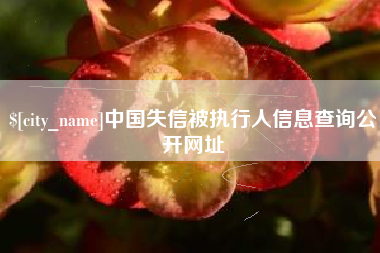 昌邑中国失信被执行人信息查询公开网址