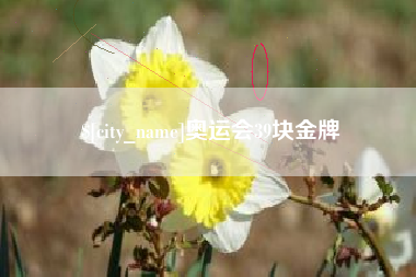 昌邑奥运会39块金牌