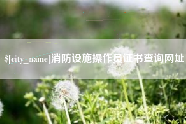 昌邑消防设施操作员证书查询网址