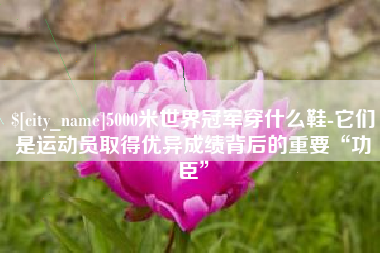 昌邑5000米世界冠军穿什么鞋-它们是运动员取得优异成绩背后的重要“功臣”