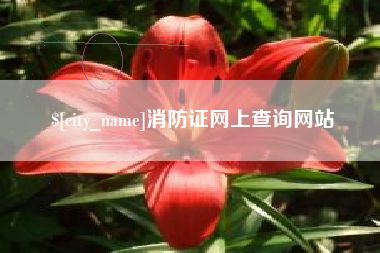 昌邑消防证网上查询网站