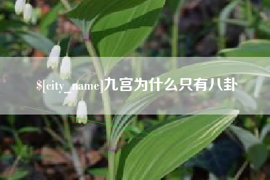 昌邑九宫为什么只有八卦