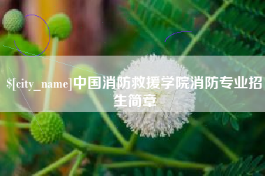 昌邑中国消防救援学院消防专业招生简章