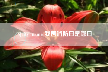 昌邑我国消防日是哪日