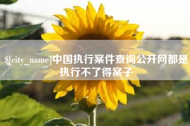 昌邑中国执行案件查询公开网都是执行不了得案子