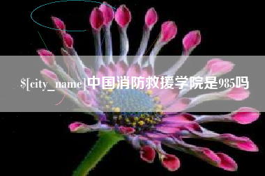 昌邑中国消防救援学院是985吗