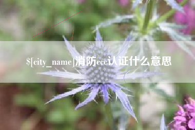 昌邑消防ccc认证什么意思