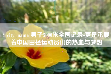 昌邑男子5000米全国记录-更是承载着中国田径运动员们的热血与梦想